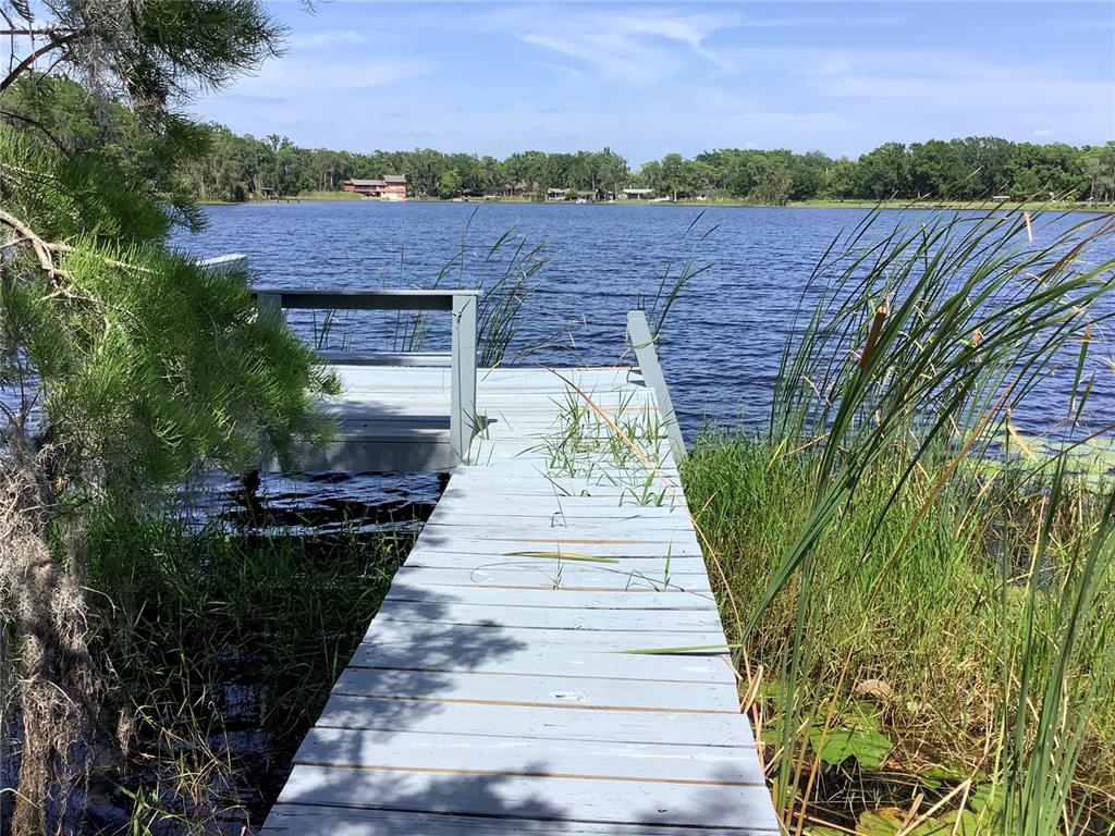 16921 Crawley Road Odessa, FL 33556 - Photo 33 of 33 a view of a backyard with potted plants