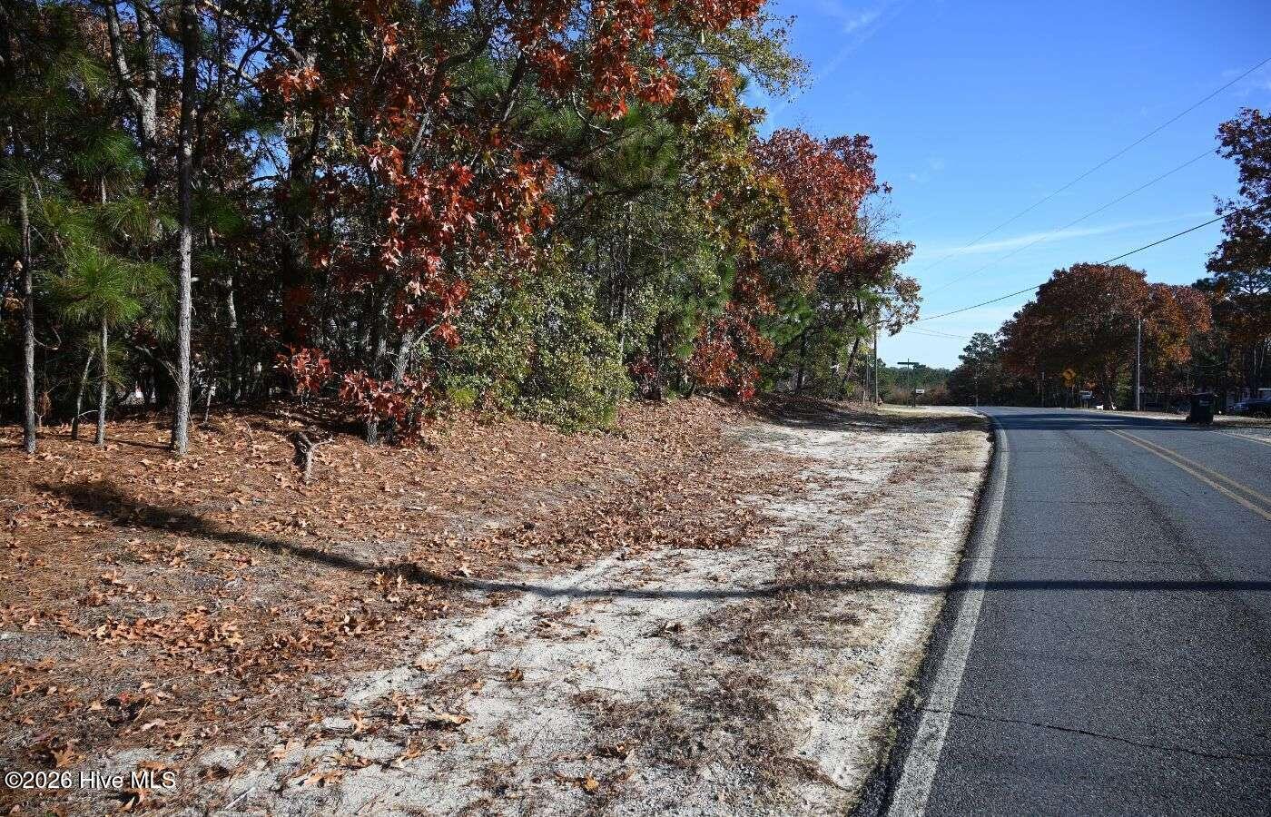 0 5th Street Extension Hamlet, NC 28345 - Photo 4 of 6 Breazeale.4