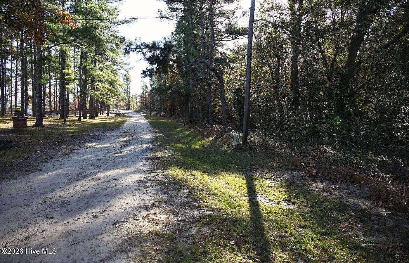0 5th Street Extension Hamlet, NC 28345 - Photo 5 of 6 Breazeale.5