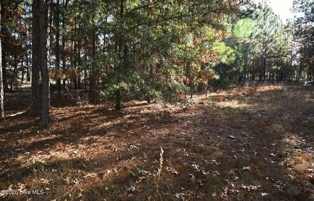 $24,997 | 0 5th Street Extension, Hamlet, NC 28345