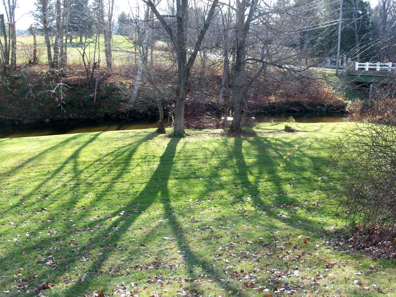 152 Orchard Road Dalton, MA 01226 - Photo 21 of 22 yard with river view