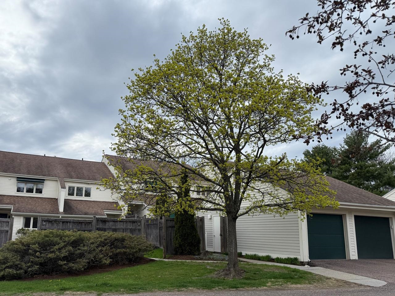 545 South Prospect Street, Unit 22 Burlington, VT 05401 - Photo 45 of 55
