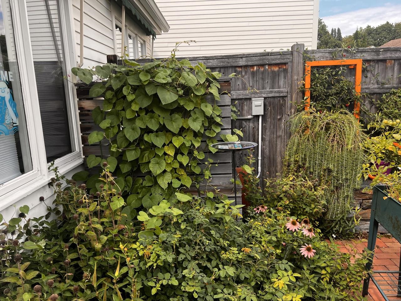 545 South Prospect Street, Unit 22 Burlington, VT 05401 - Photo 52 of 55