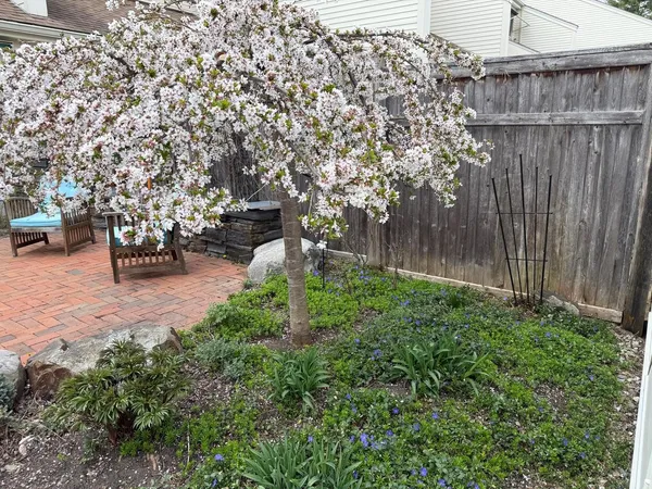 $649,000 | 545 South Prospect Street, Unit 22, Burlington, VT 05401