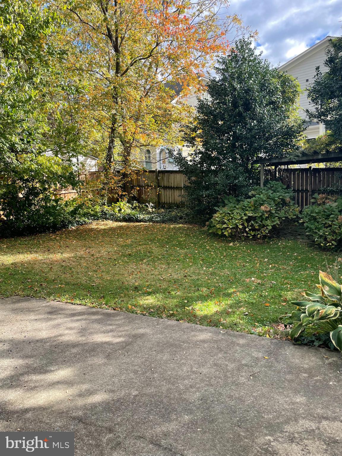 4818 Morgan Drive Chevy Chase, MD 20815 - Photo 12 of 12 Backyard