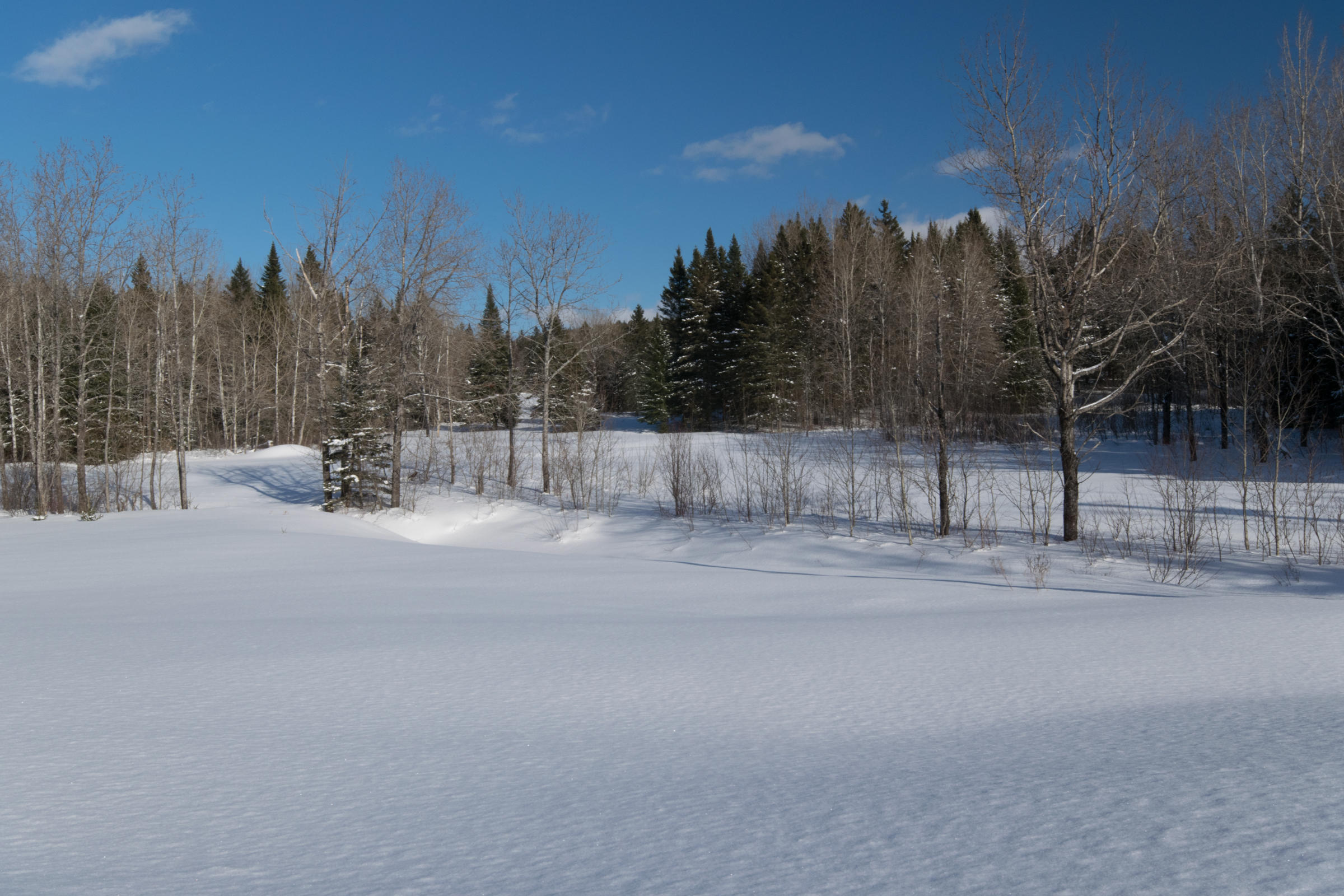 368 Charette Hill Road Fort Kent, ME 04743 - Photo 22 of 36 Property views