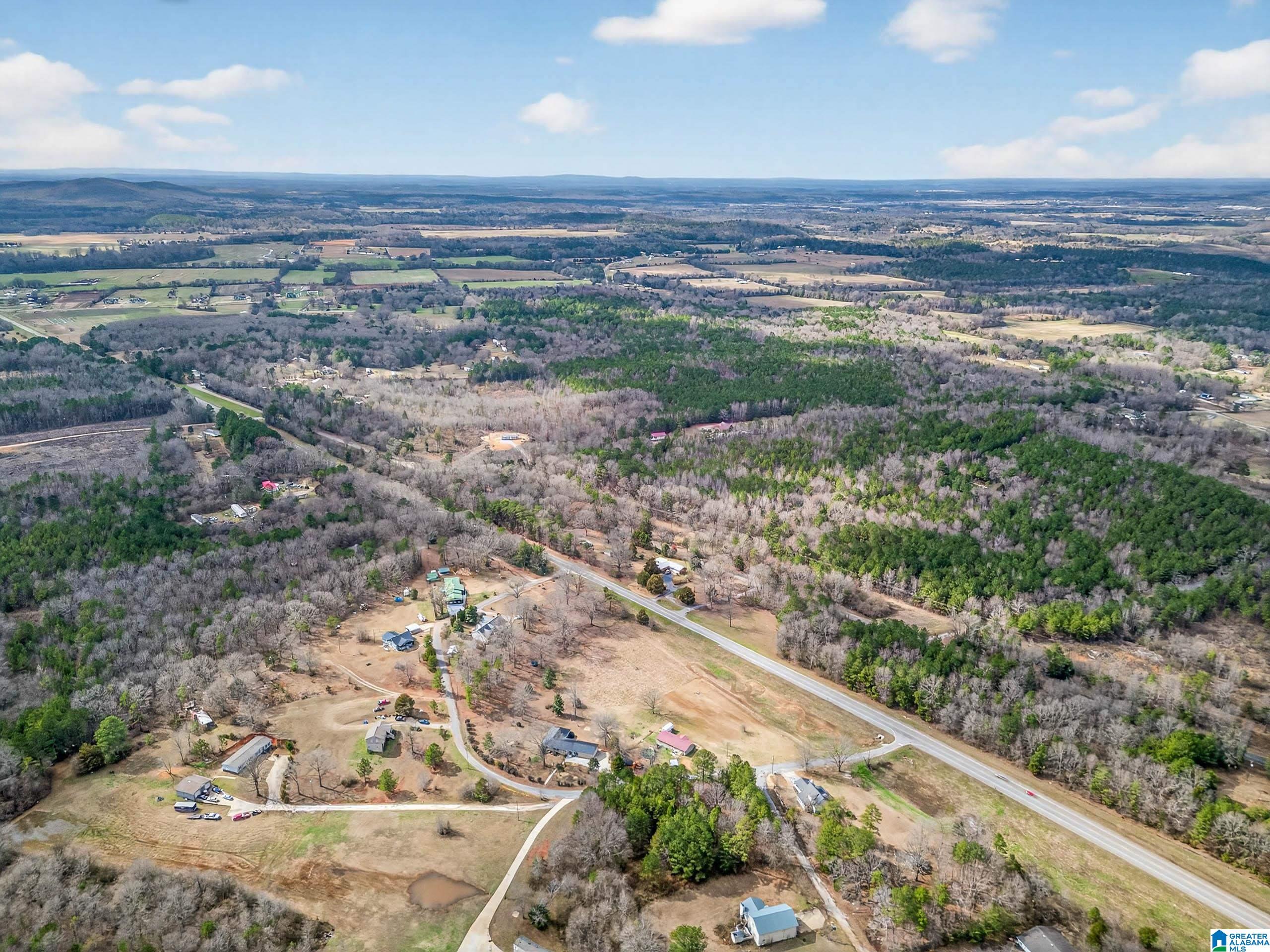 112 Meadowview Circle Munford, AL 36268 - Photo 16 of 39
