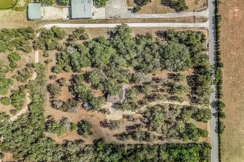 a view of a yard with a tree