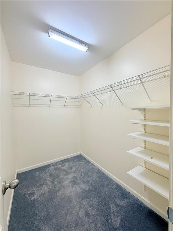 893 Hawthorn Lane Grayson, GA 30017 - Photo 9 of 11 a view of an empty walk in closet