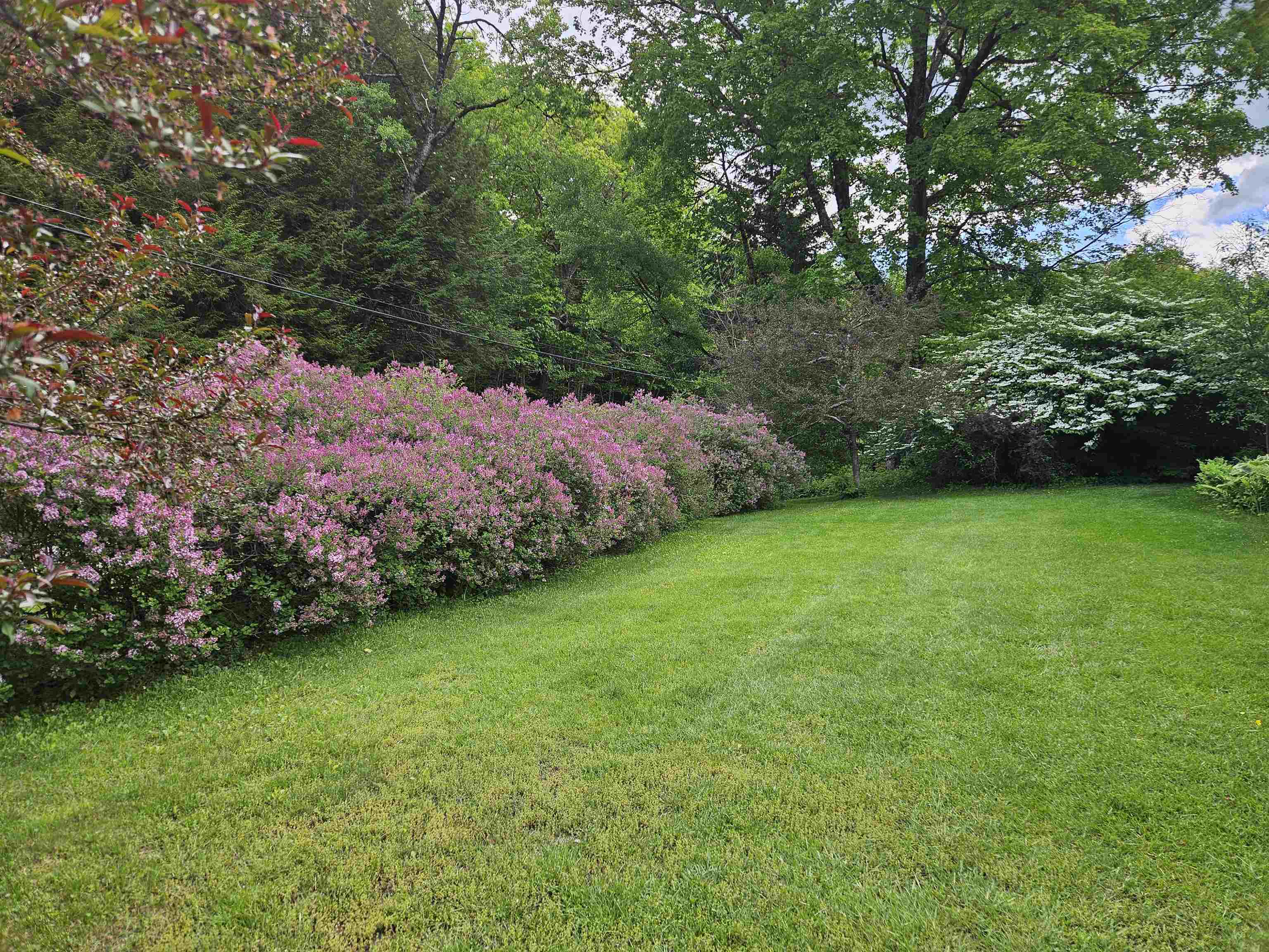 3924 Sweet Pond Road Guilford, VT 05301 - Photo 17 of 51
