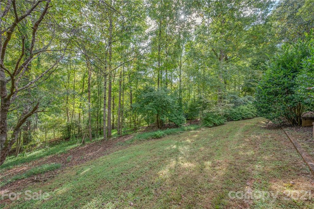33 Hunting Country Trail Tryon, NC 28782 - Photo 31 of 34 a view of a lush green forest
