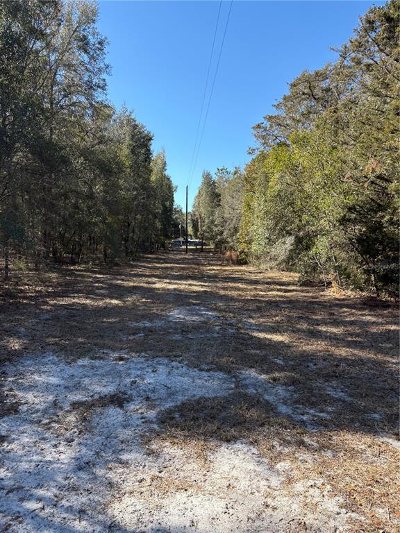 11727 Southwest 122nd Street Gainesville, FL 32608 - Photo 23 of 24