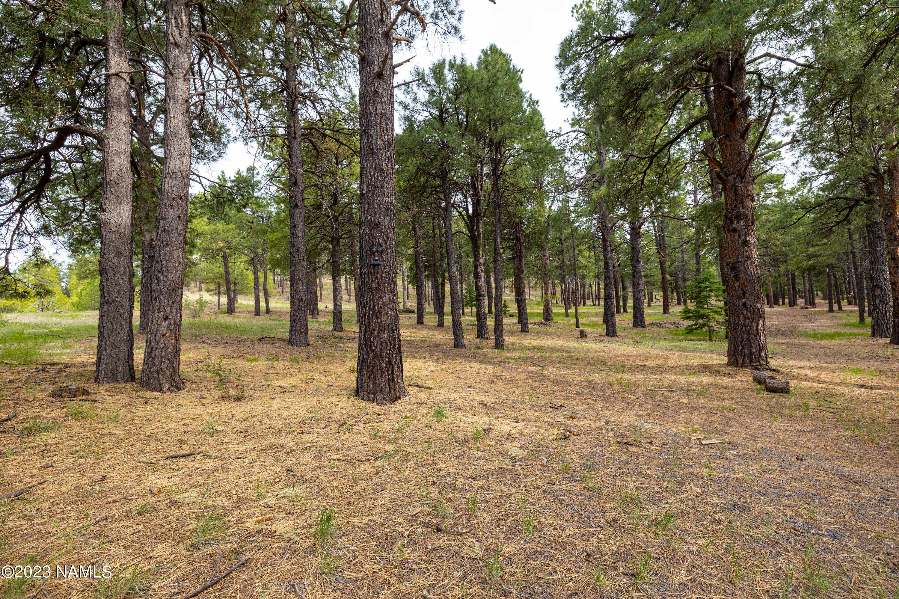 1842 Deer Pass Road Williams, AZ 86046 - Photo 45 of 109 CP-6