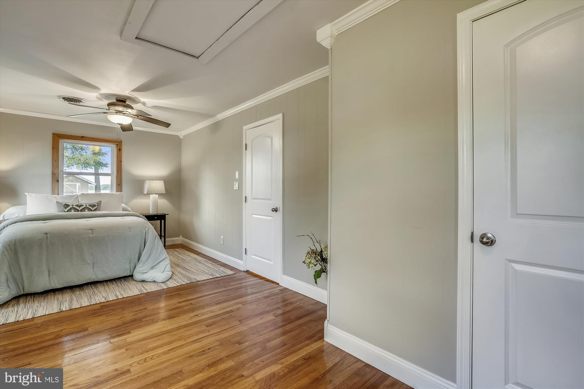3650 Choptank Road Preston, MD 21655 - Photo 25 of 54 Gallery Image 25