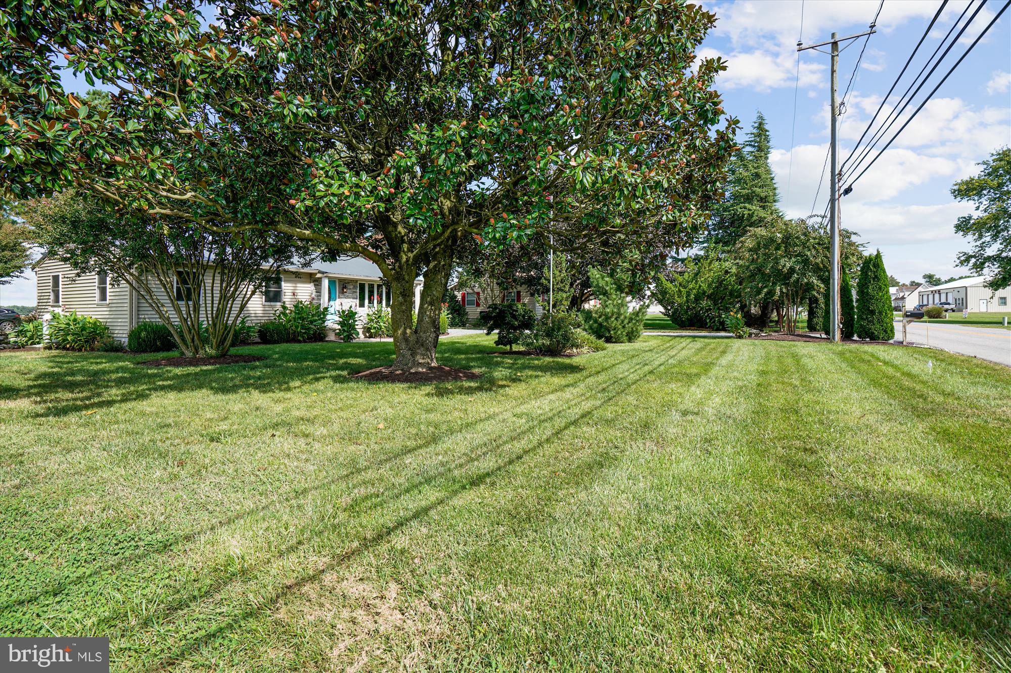 3650 Choptank Road Preston, MD 21655 - Photo 30 of 54 Front Yard
