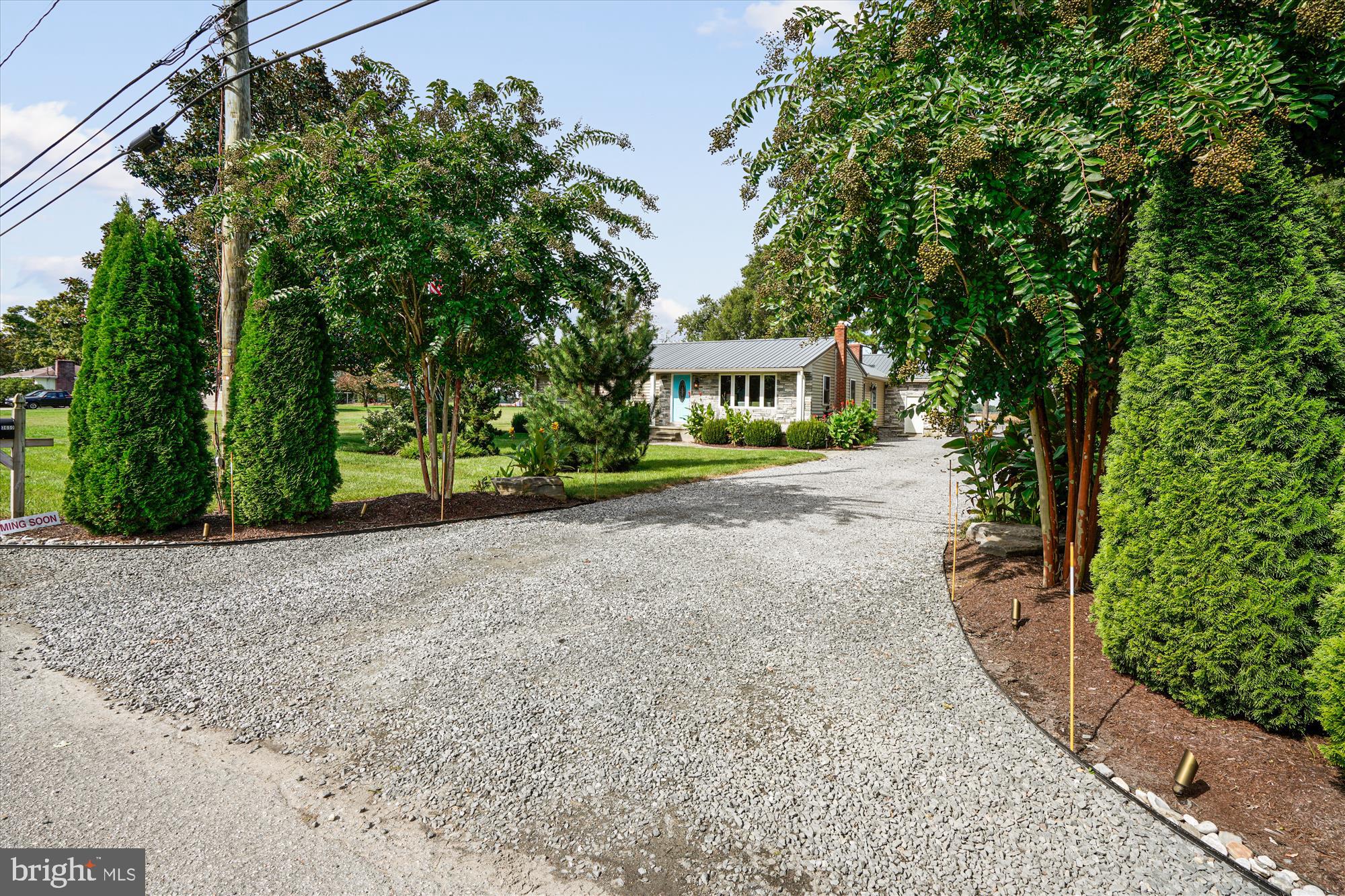 3650 Choptank Road Preston, MD 21655 - Photo 33 of 54 Driveway with plenty of parking