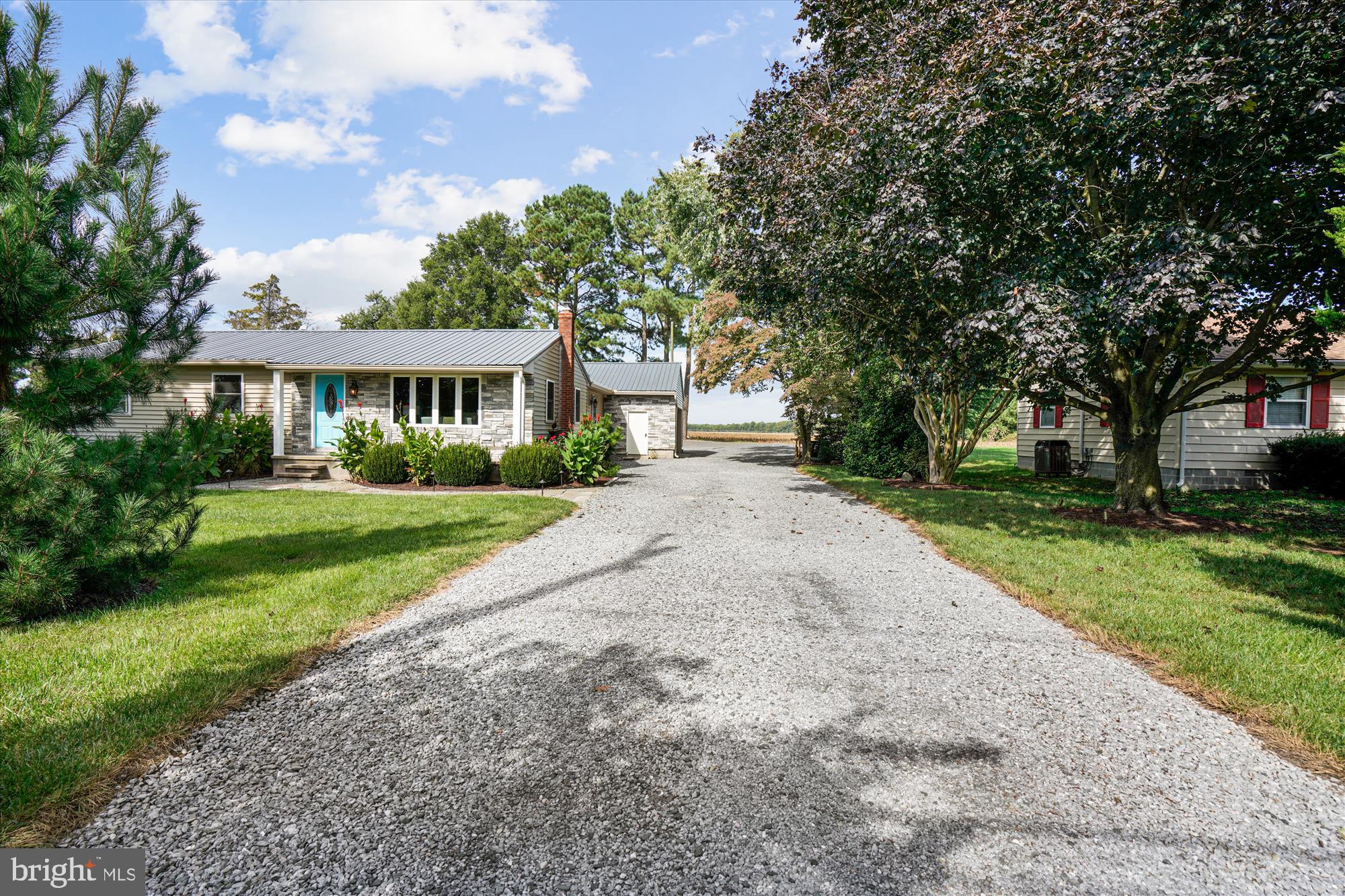 3650 Choptank Road Preston, MD 21655 - Photo 35 of 54 View from the road