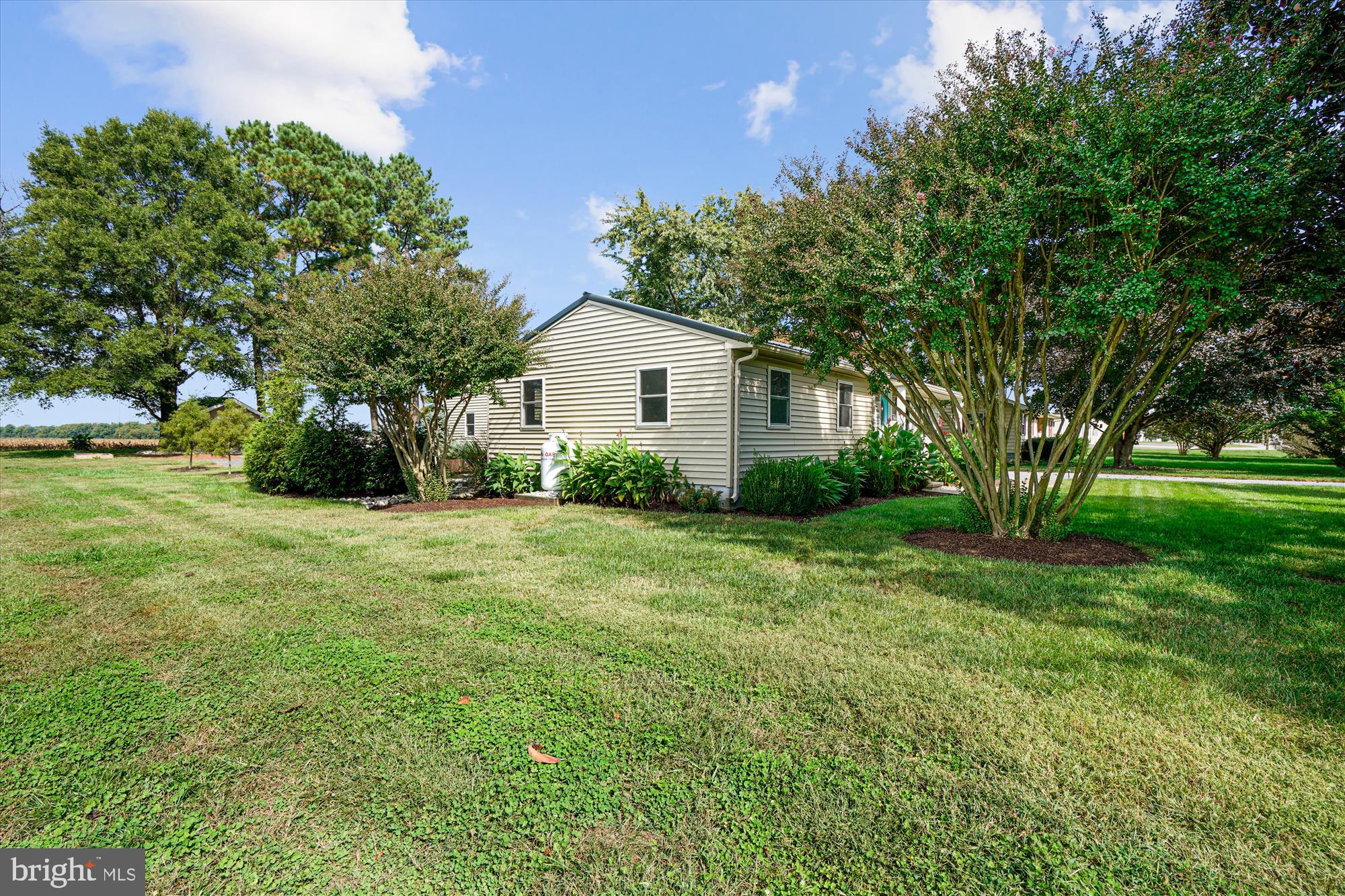 3650 Choptank Road Preston, MD 21655 - Photo 48 of 54 Gallery Image 48