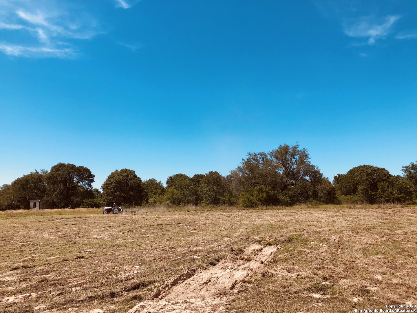 1135 Spur Ridge San Antonio, TX 78264 - Photo 5 of 12 a view of large tree and a yard