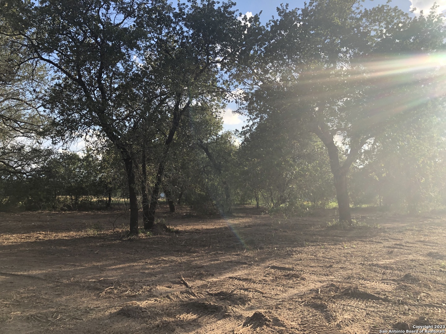 1135 Spur Ridge San Antonio, TX 78264 - Photo 8 of 12 a view of a yard with a tree