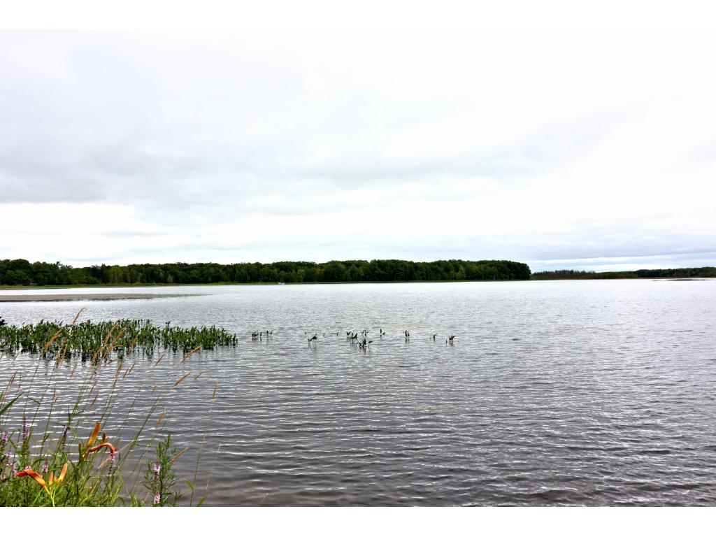 Xxx South Pine View Beach Road Brook Park, MN 55007 - Photo 1 of 1 Gallery Image 1