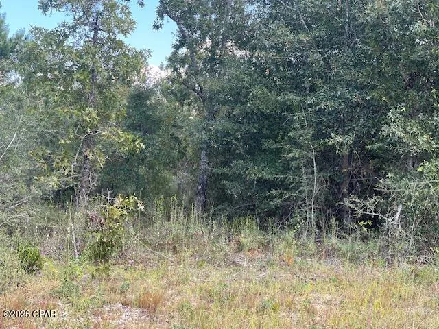 $8,500 | 0 Yarmouth Avenue, Chipley, FL 32428