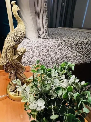 a close up of a plant