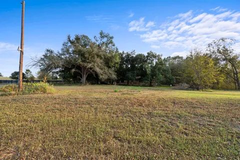 a view of a field with large trees