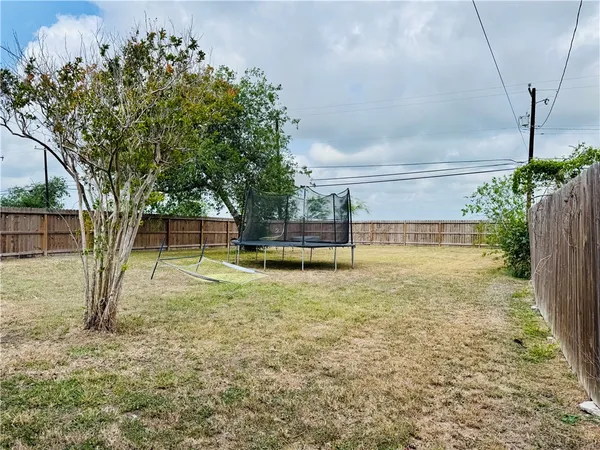 a view of a yard with a tree