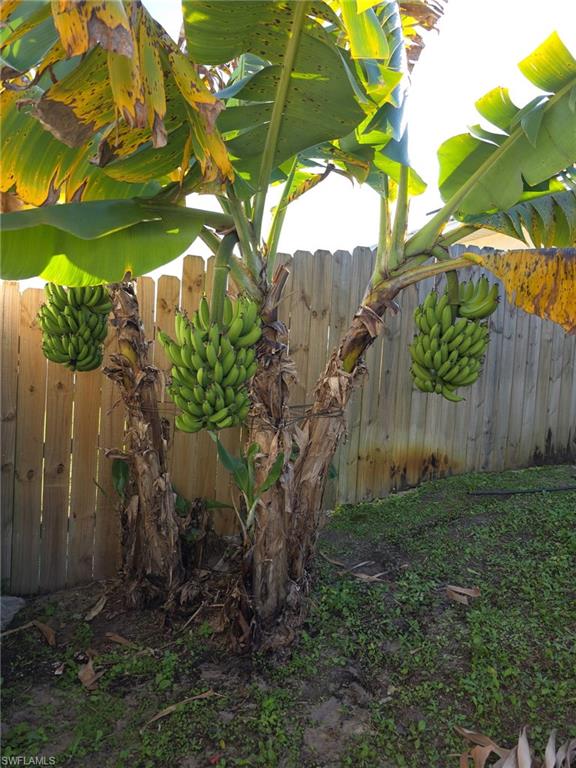 3303 32nd Street Southwest Lehigh Acres, FL 33976 - Photo 32 of 35 a backyard of a house