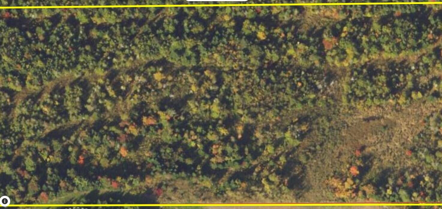 3-2a Woodland Center Road Perham, ME 04766 - Photo 6 of 7