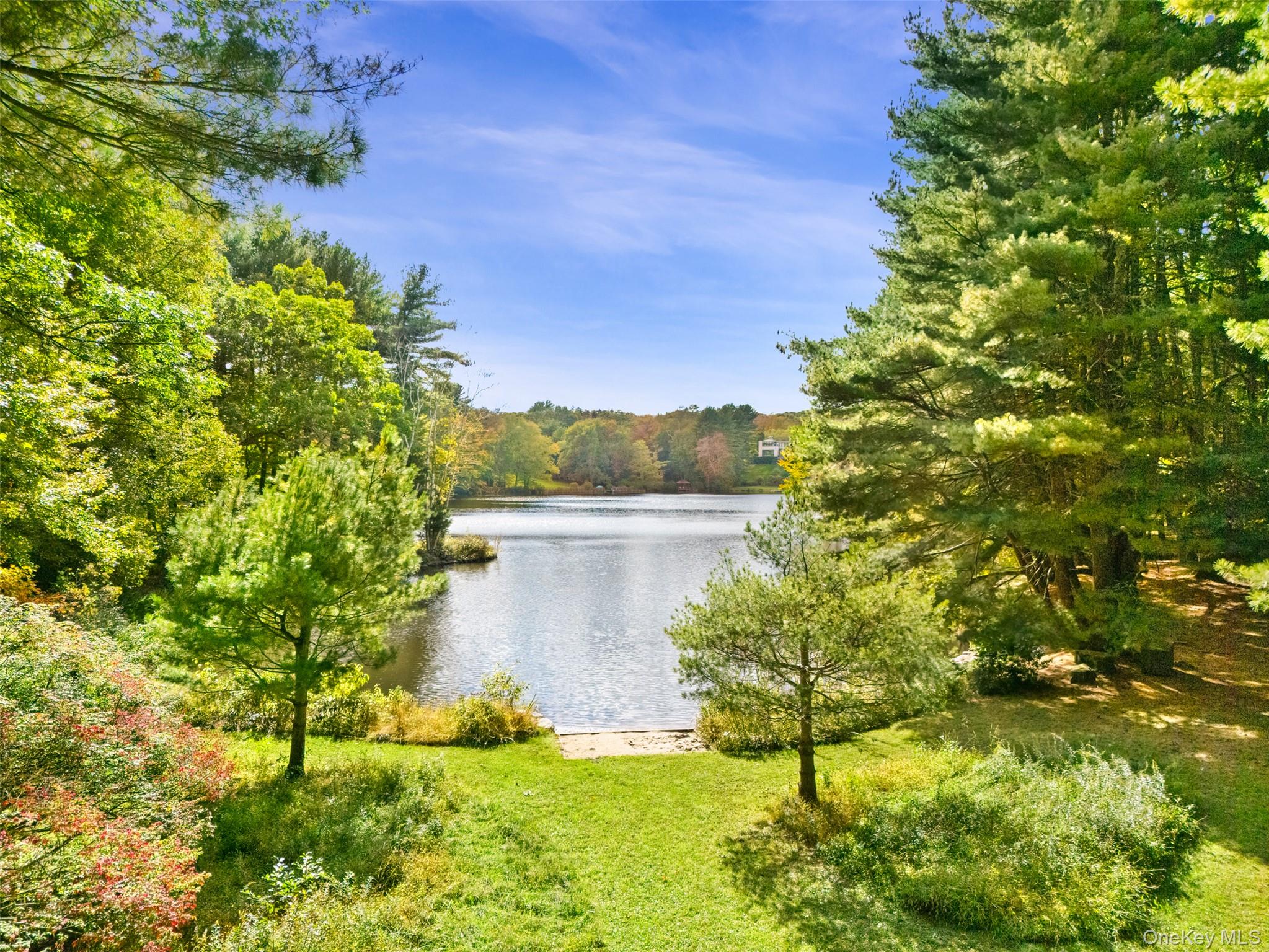 a view of a garden