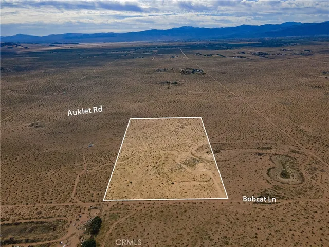 $25,000 | 123 Bobcat Lane, Newberry Springs, CA 92365
