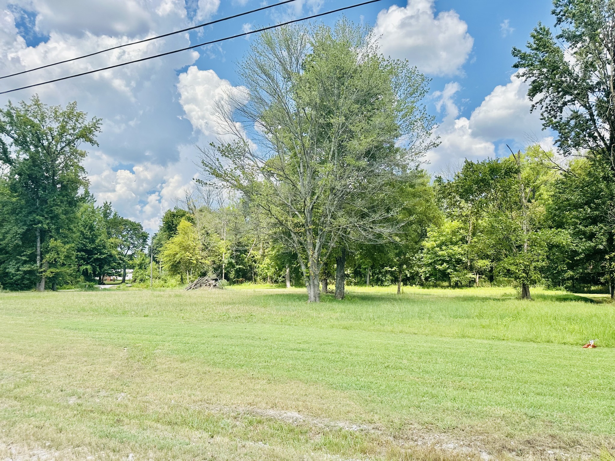 980 Nelson Road Guthrie, KY 42234 - Photo 6 of 6 Gallery Image 6