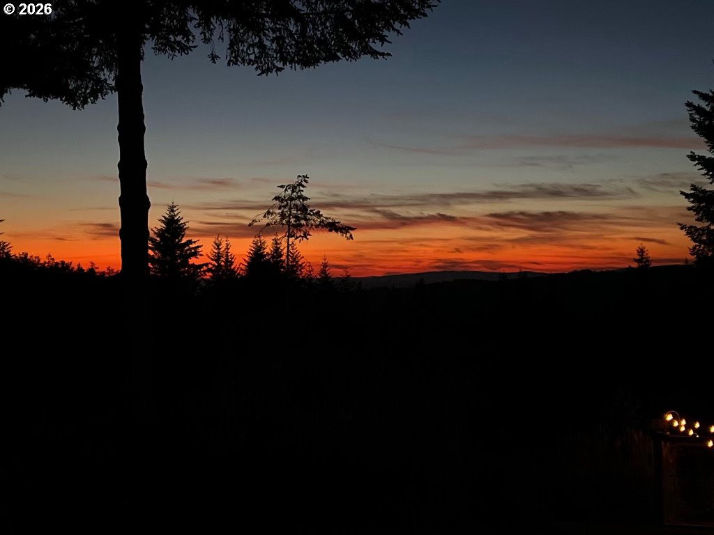 30100 Northeast Spud Mountain Road Camas, WA 98607 - Photo 46 of 48