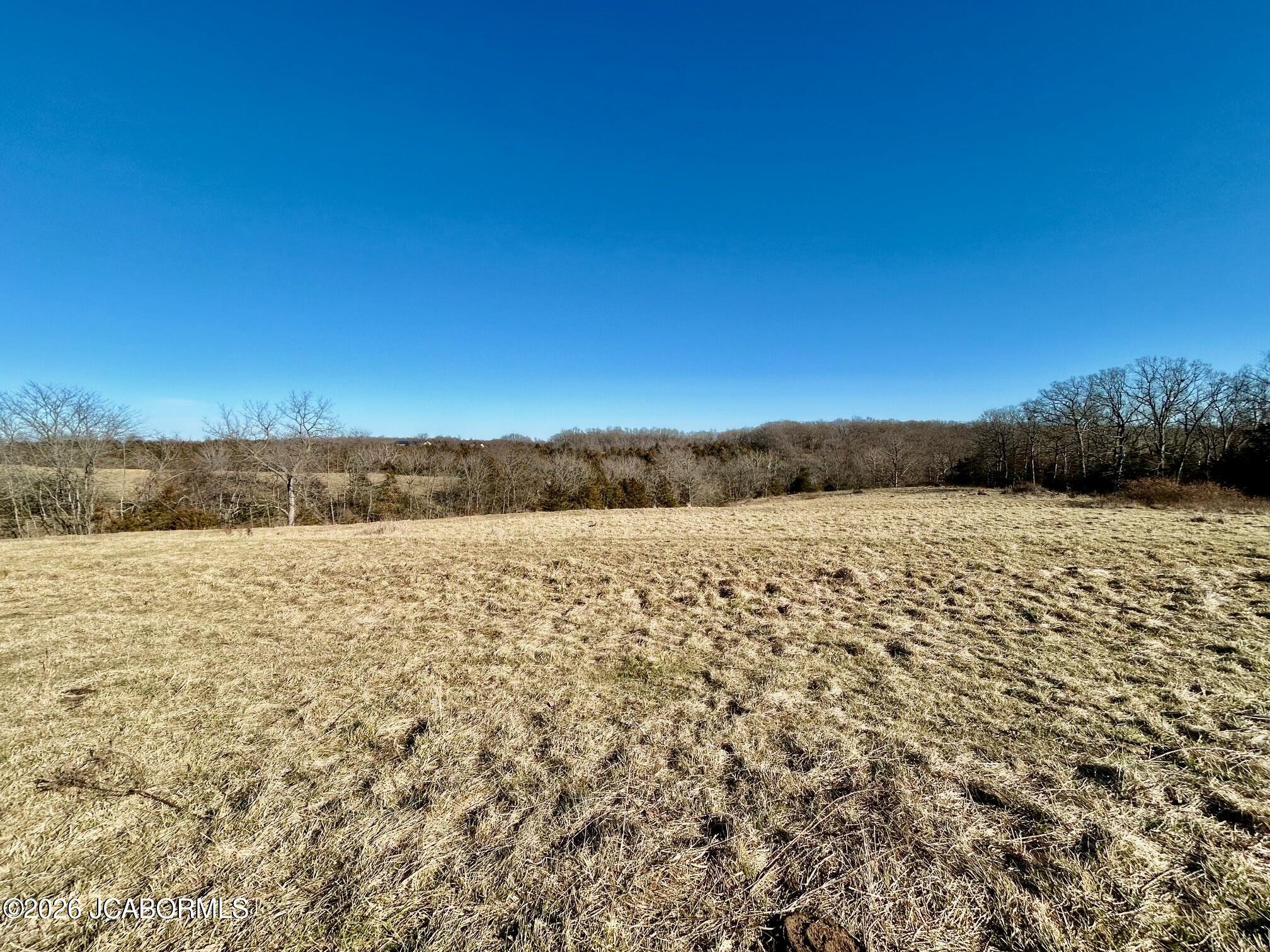Tbd Mt Hope Road California, MO 65018 - Photo 2 of 3