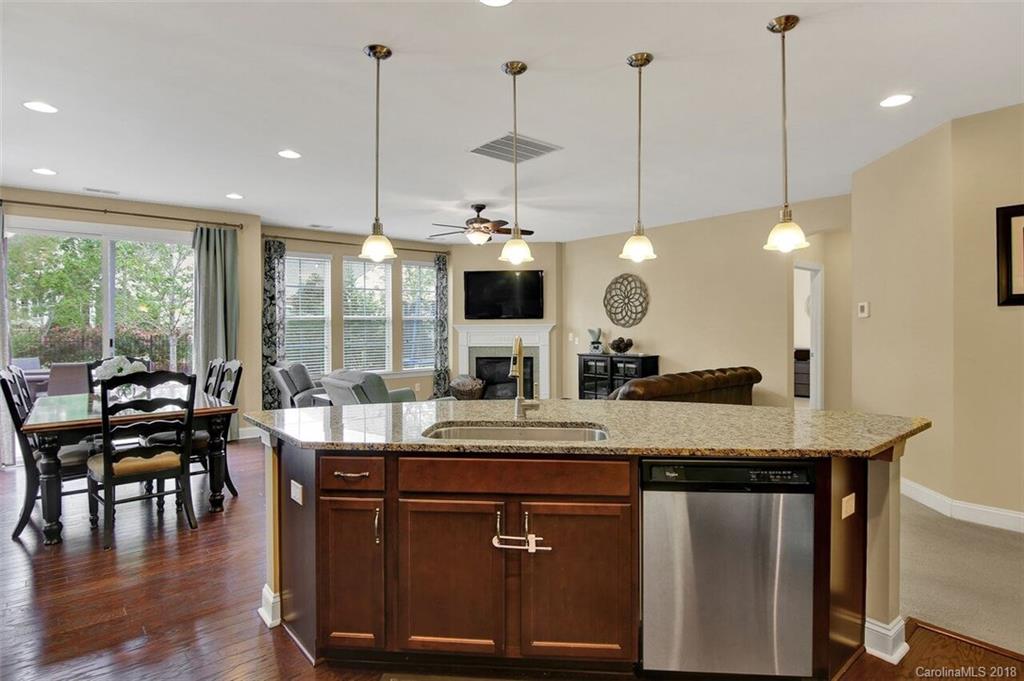 1201 Gold Rush Court Fort Mill, SC 29708 - Photo 6 of 24