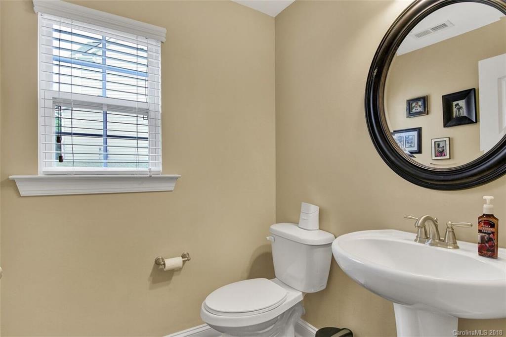 1201 Gold Rush Court Fort Mill, SC 29708 - Photo 10 of 24