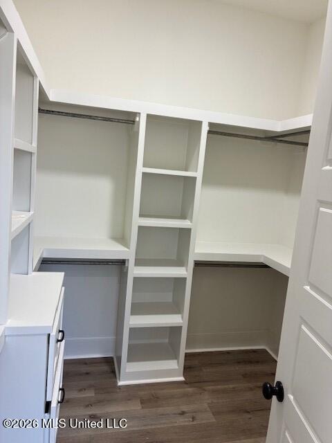 100 Grayson Way Madison, MS 39110 - Photo 13 of 25 primary closet