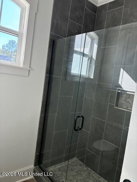 100 Grayson Way Madison, MS 39110 - Photo 16 of 25 hall bath shower
