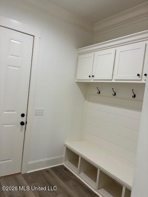 100 Grayson Way Madison, MS 39110 - Photo 23 of 25 mudroom