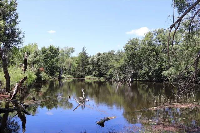 a view of a lake in between two large trees