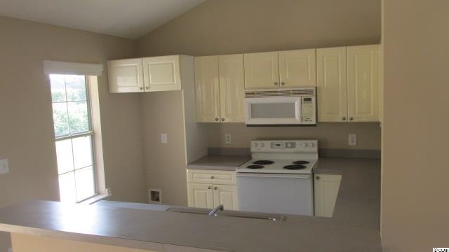 9918 Largo Court Murrells Inlet, SC 29576 - Photo 13 of 25