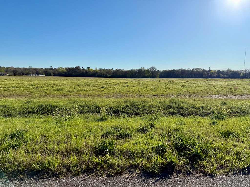 11.97-acres Omussee Road Cowarts, AL 36321 - Photo 11 of 14