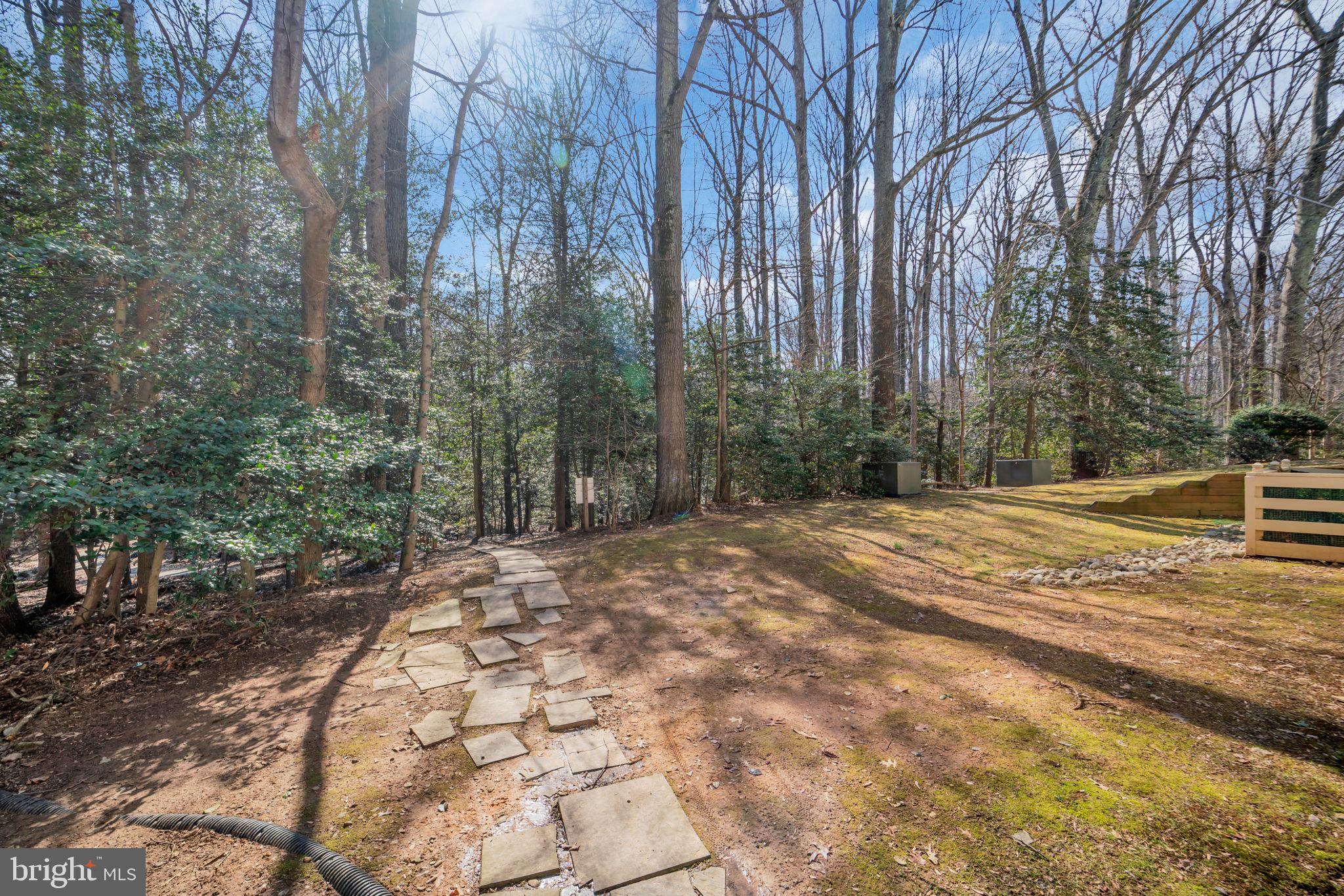 2233 Lovedale Lane, Unit L Reston, VA 20191 - Photo 17 of 18 a view of backyard with green space