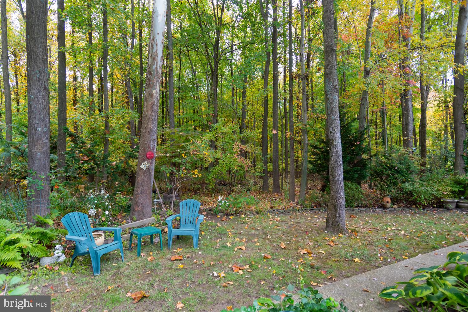 22400 Great Oak Landing Road Chestertown, MD 21620 - Photo 6 of 48