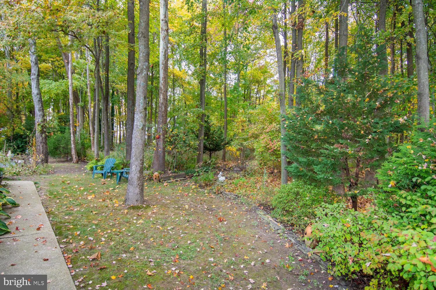 22400 Great Oak Landing Road Chestertown, MD 21620 - Photo 8 of 48