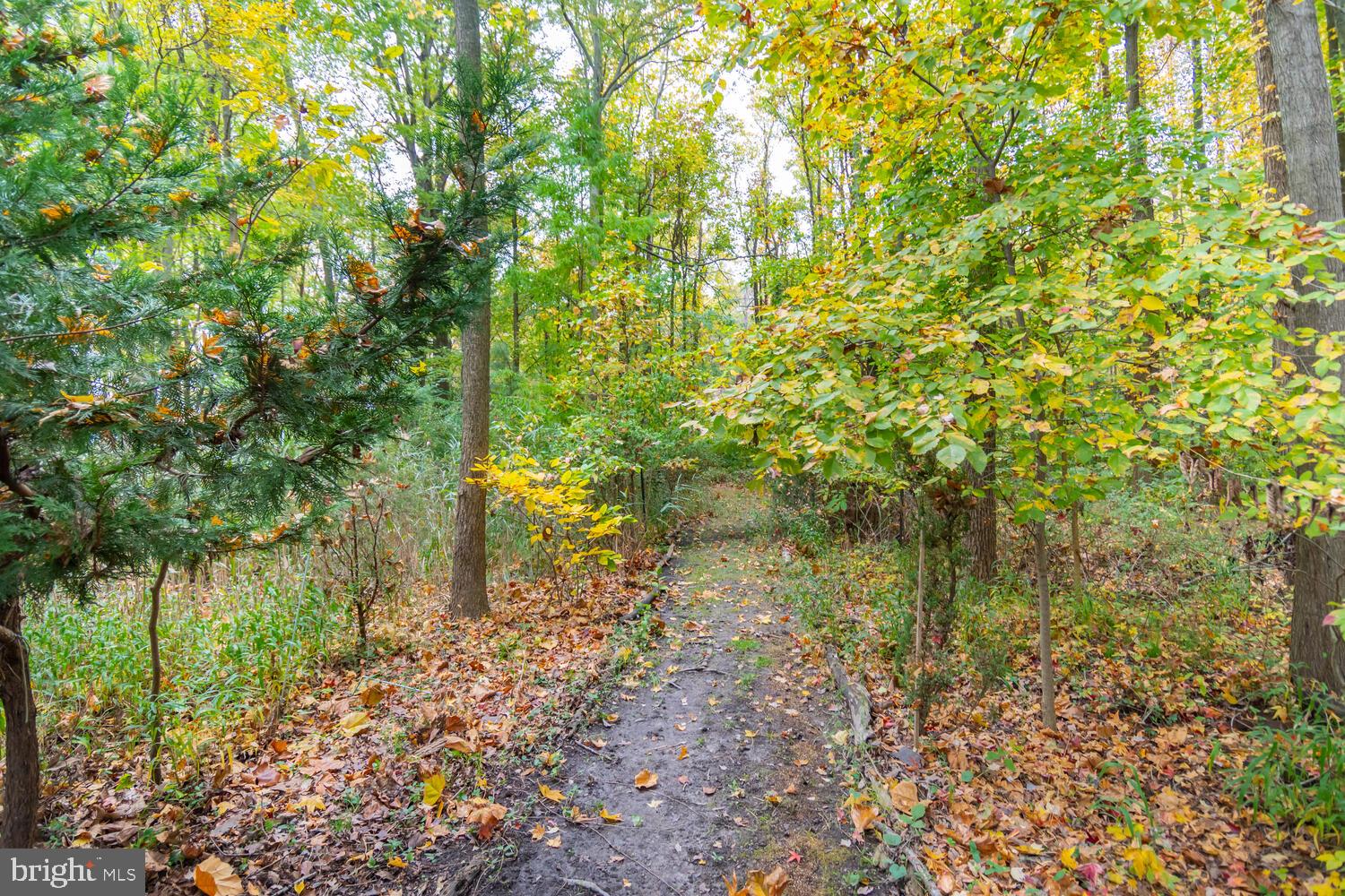 22400 Great Oak Landing Road Chestertown, MD 21620 - Photo 10 of 48