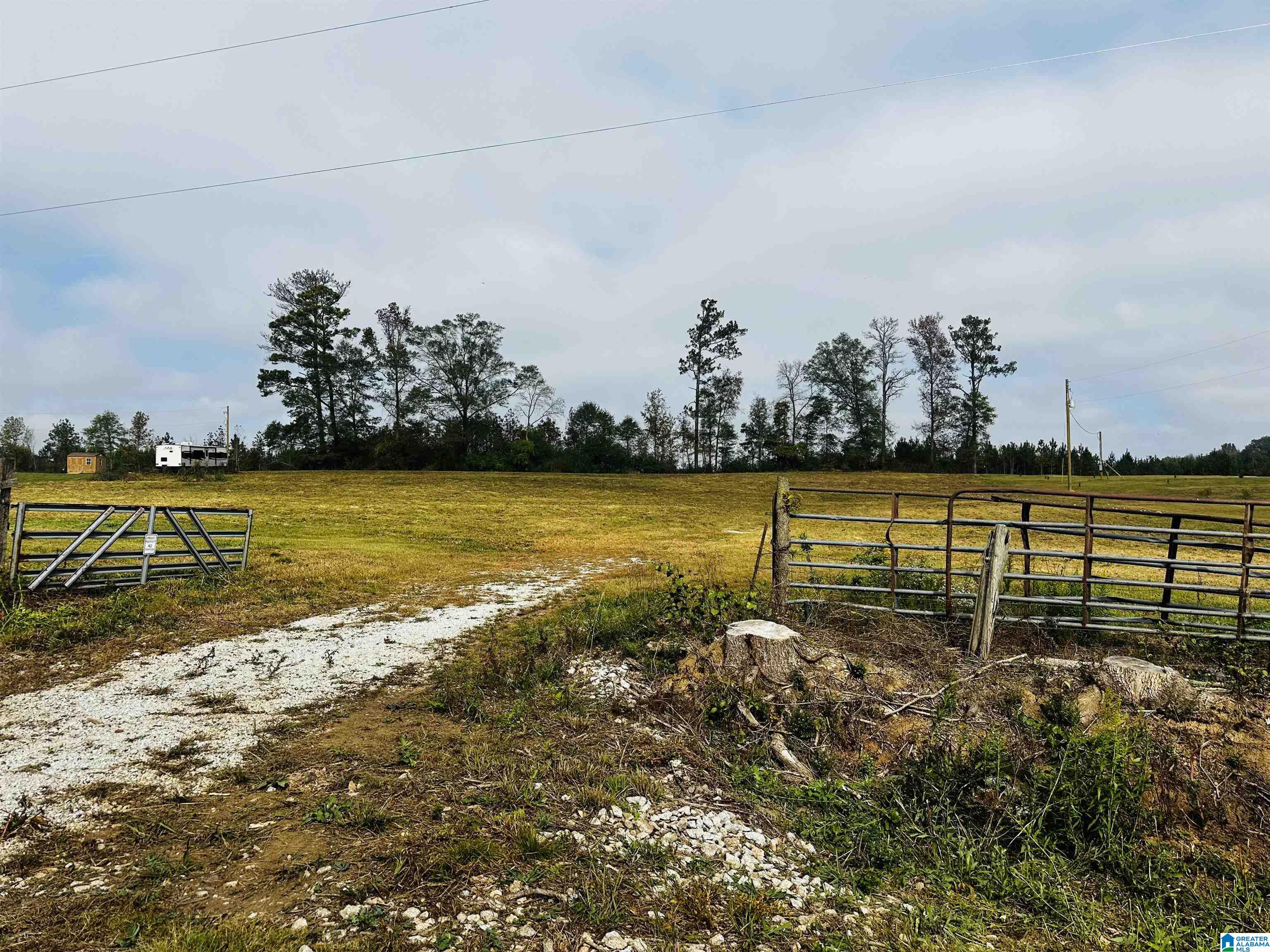 1721 McVey Road Lineville, AL 36266 - Photo 1 of 12