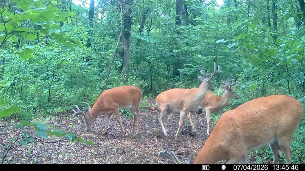 2163 East 500 Road Lecompton, KS 66050 - Photo 75 of 98